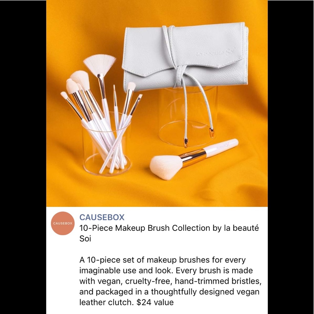 La Beaute Soi 10 piece Vegan Makeup Brush Set